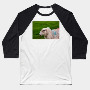 Sheep Baseball T-Shirt